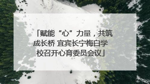 赋能“心”力量，共筑成长桥 宜宾长宁梅白学校召开心育委员会议