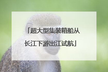 超大型集装箱船从长江下游出江试航