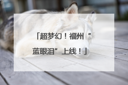 超梦幻！福州“蓝眼泪”上线！