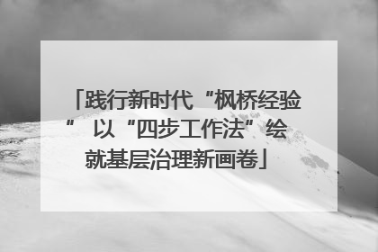 践行新时代“枫桥经验” 以“四步工作法”绘就基层治理新画卷