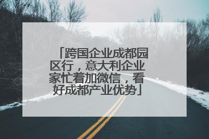 跨国企业成都园区行，意大利企业家忙着加微信，看好成都产业优势