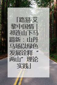 路易·艾黎中国情｜祁连山下马蹄新：山丹马场以绿色发展诠释“两山”理论实践