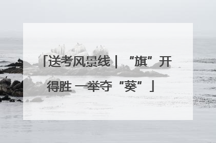 送考风景线｜“旗”开得胜 一举夺“葵”