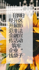 邵阳经开区开展防范非法金融宣传活动 筑牢企业“钱袋子”安全防线