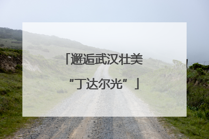 邂逅武汉壮美“丁达尔光”