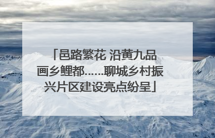 邑路繁花 沿黄九品 画乡鲤都……聊城乡村振兴片区建设亮点纷呈