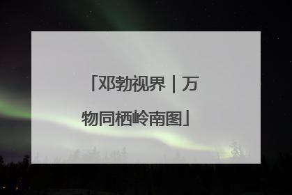 邓勃视界｜万物同栖岭南图