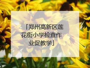 郑州高新区莲花街小学检查作业促教学