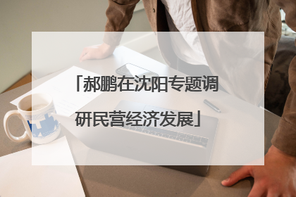 郝鹏在沈阳专题调研民营经济发展