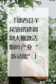 郧西县羊尾镇搭建调制大棚激活烟叶产业“新动能”