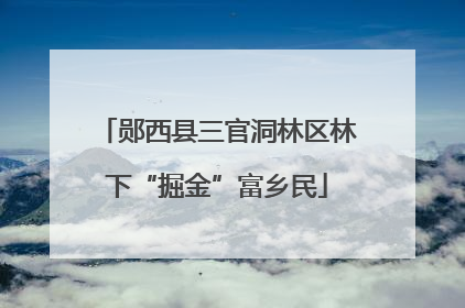 郧西县三官洞林区林下“掘金”富乡民