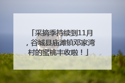 采摘季持续到11月，谷城县庙滩镇邓家湾村的蜜桃丰收啦！