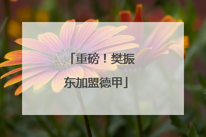 重磅!樊振东加盟德甲