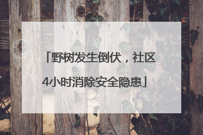 野树发生倒伏，社区4小时消除安全隐患
