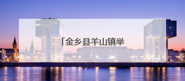 金乡县羊山镇举办促消费活动