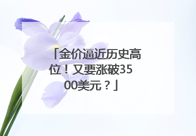 金价逼近历史高位！又要涨破3500美元？