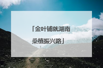 金叶铺就湖南桑植振兴路