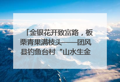 金银花开致富路，板栗青果满枝头——团风县钓鱼台村“山水生金”谱写共富新篇章