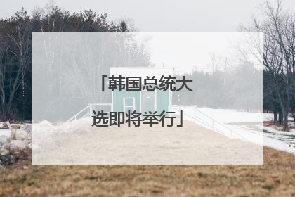 韩国总统大选即将举行