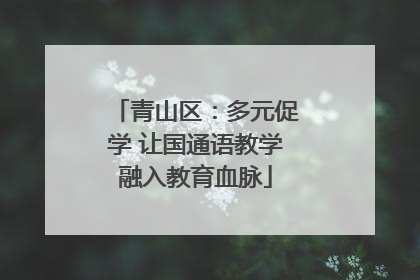 青山区：多元促学 让国通语教学融入教育血脉