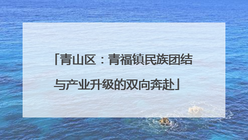 青山区：青福镇民族团结与产业升级的双向奔赴