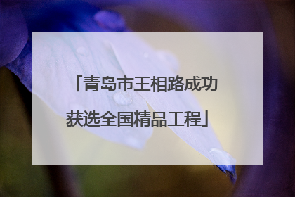青岛市王相路成功获选全国精品工程
