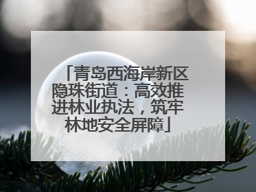 青岛西海岸新区隐珠街道：高效推进林业执法，筑牢林地安全屏障