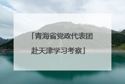 青海省党政代表团赴天津学习考察