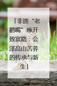 非遗“老鹳嘴”啄开致富路：会泽高山苦荞的传承与新生