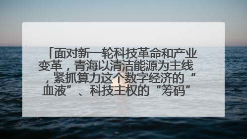面对新一轮科技革命和产业变革，青海以清洁能源为主线，紧抓算力这个数字经济的“血液”、科技主权的“筹码”、产业升级的“杠杆”、绿色转型的“支点”，勇于撬动国家“双碳”战略、“东数西算”工程重大发展新机遇