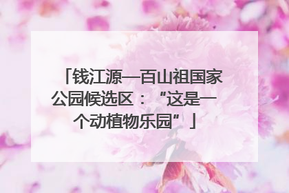 钱江源—百山祖国家公园候选区：“这是一个动植物乐园”