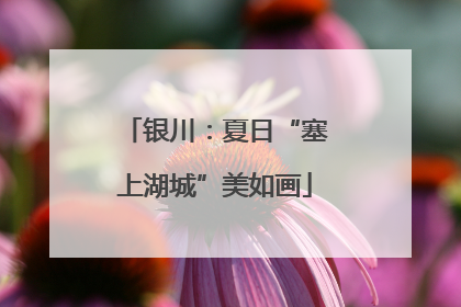 银川：夏日“塞上湖城”美如画
