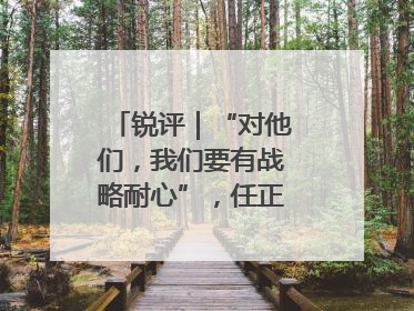 锐评｜“对他们，我们要有战略耐心”，任正非给谁提了醒