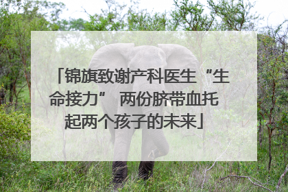 锦旗致谢产科医生“生命接力” 两份脐带血托起两个孩子的未来