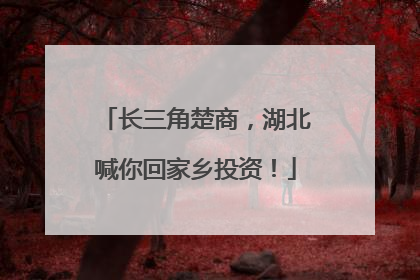 长三角楚商，湖北喊你回家乡投资！