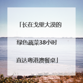 长在戈壁大漠的绿色蔬菜38小时直达粤港澳餐桌