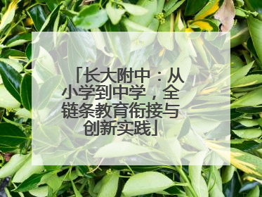长大附中：从小学到中学，全链条教育衔接与创新实践