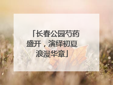长春公园芍药盛开，演绎初夏浪漫华章