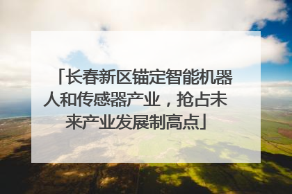 长春新区锚定智能机器人和传感器产业，抢占未来产业发展制高点