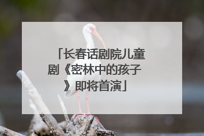 长春话剧院儿童剧《密林中的孩子》即将首演