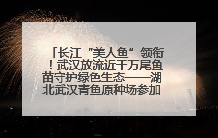 长江“美人鱼”领衔！武汉放流近千万尾鱼苗守护绿色生态——湖北武汉青鱼原种场参加2025年“全国放鱼日”增殖放流活动
