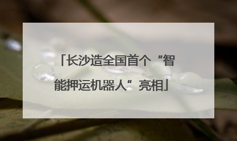 长沙造全国首个“智能押运机器人”亮相
