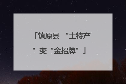 镇原县 “土特产”变“金招牌”