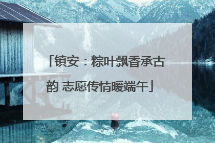 镇安：粽叶飘香承古韵 志愿传情暖端午
