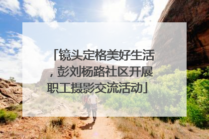 镜头定格美好生活，彭刘杨路社区开展职工摄影交流活动