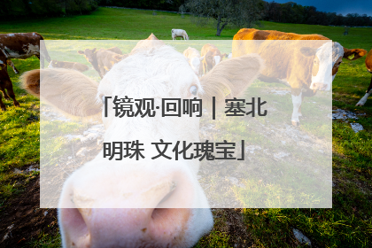 镜观·回响｜塞北明珠 文化瑰宝