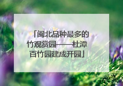 闽北品种最多的竹观赏园——杜潭百竹园建成开园