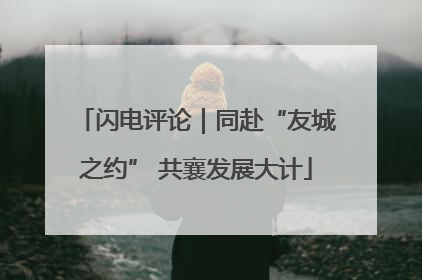 闪电评论｜同赴“友城之约” 共襄发展大计