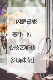 闪耀省级赛事  匠心技艺斩获多项殊荣