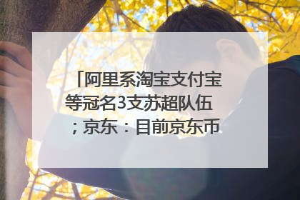 阿里系淘宝支付宝等冠名3支苏超队伍；京东：目前京东币链科技并没有开始发行稳定币｜早资道